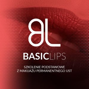 basic lips copy